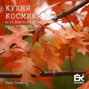 Кухня Космика