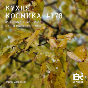 Кухня Космика 