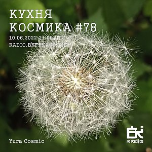 Кухня Космика