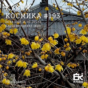 Кухня Космика