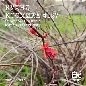 Кухня Космика
