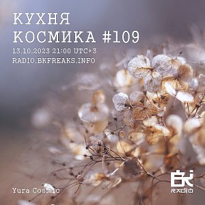 Кухня Космика