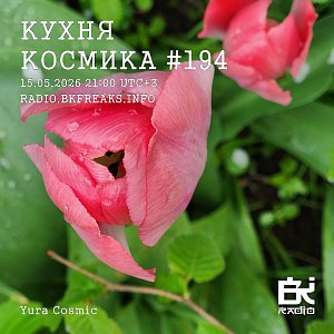 Кухня Космика