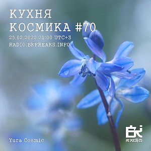 Кухня Космика