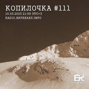 Копилочка
