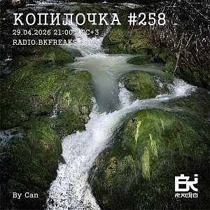 Копилочка