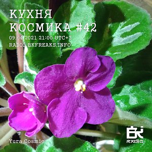 Кухня Космика