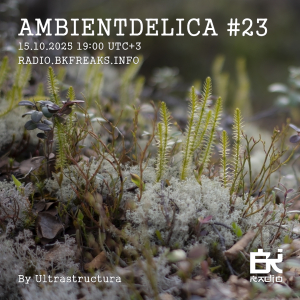 Ambientdelica