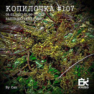 Копилочка