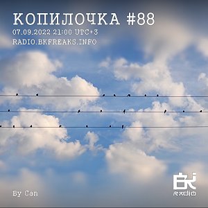 Копилочка