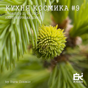 Кухня Космика