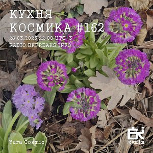 Кухня Космика