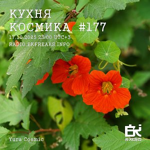 Кухня Космика 