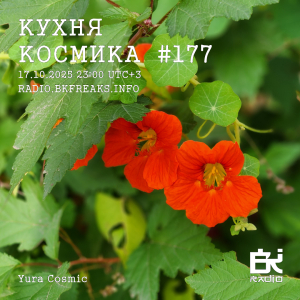 Кухня Космика 