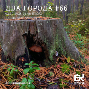 Два Города