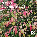 Кухня Космика