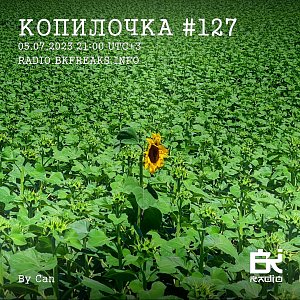 Копилочка