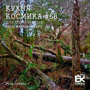 Кухня Космика