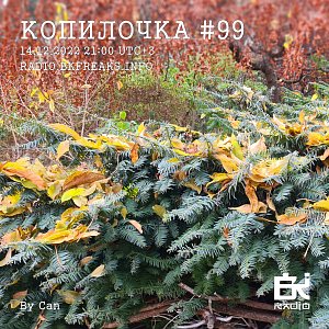 Копилочка