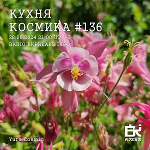 Кухня Космика
