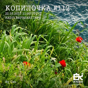 Копилочка