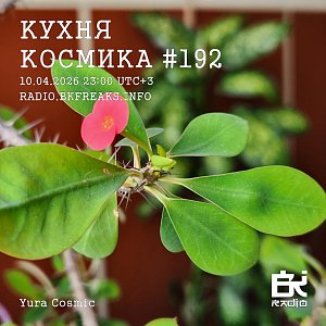 Кухня Космика
