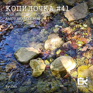 Копилочка