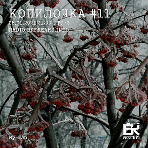 Копилочка
