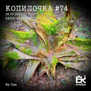 Копилочка