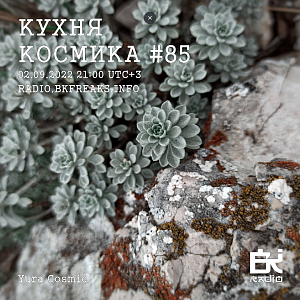 Кухня Космика