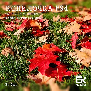 Копилочка