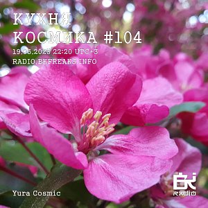Кухня Космика