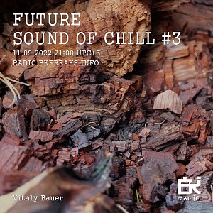 Future Sound of Chill