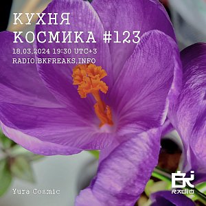 Кухня Космика