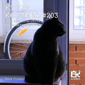 Кухня Космика