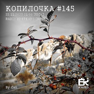 Копилочка