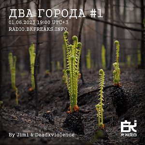 Два Города