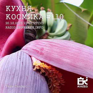Кухня Космика