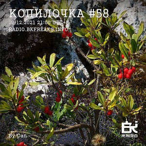 Копилочка