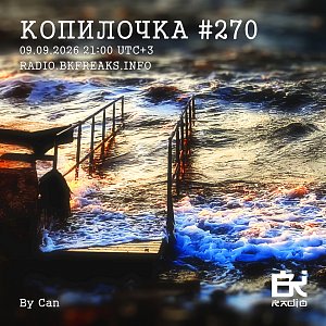 Копилочка