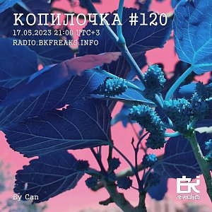 Копилочка