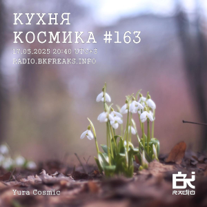 Кухня Космика