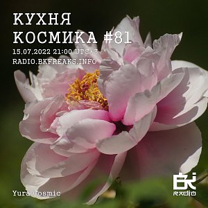 Кухня Космика