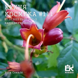 Кухня Космика