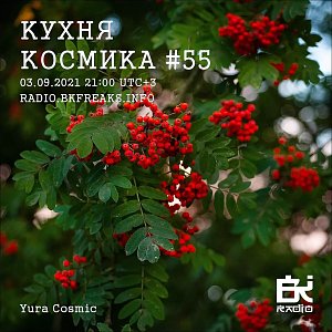 Кухня Космика