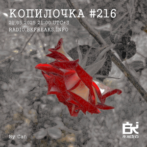 Копилочка