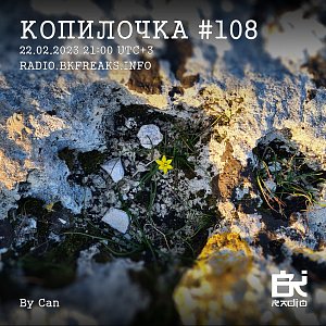 Копилочка