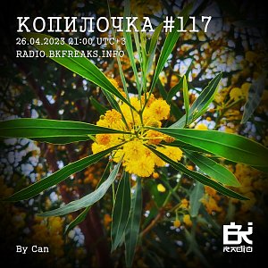 Копилочка