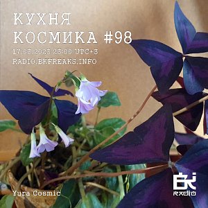 Кухня Космика