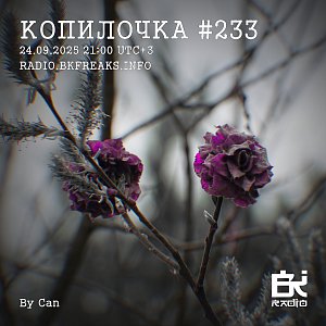 Копилочка